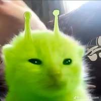 SparkyStar