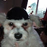 LuckyLuke161