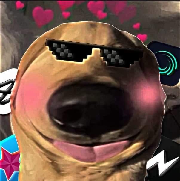 海龜(◐‿◑)﻿