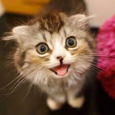 アソコヲミタイ