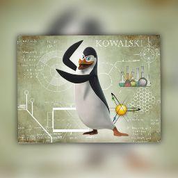 Miguel Angel Montes Guerrero