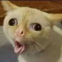 Trần Văn Phú 7A1