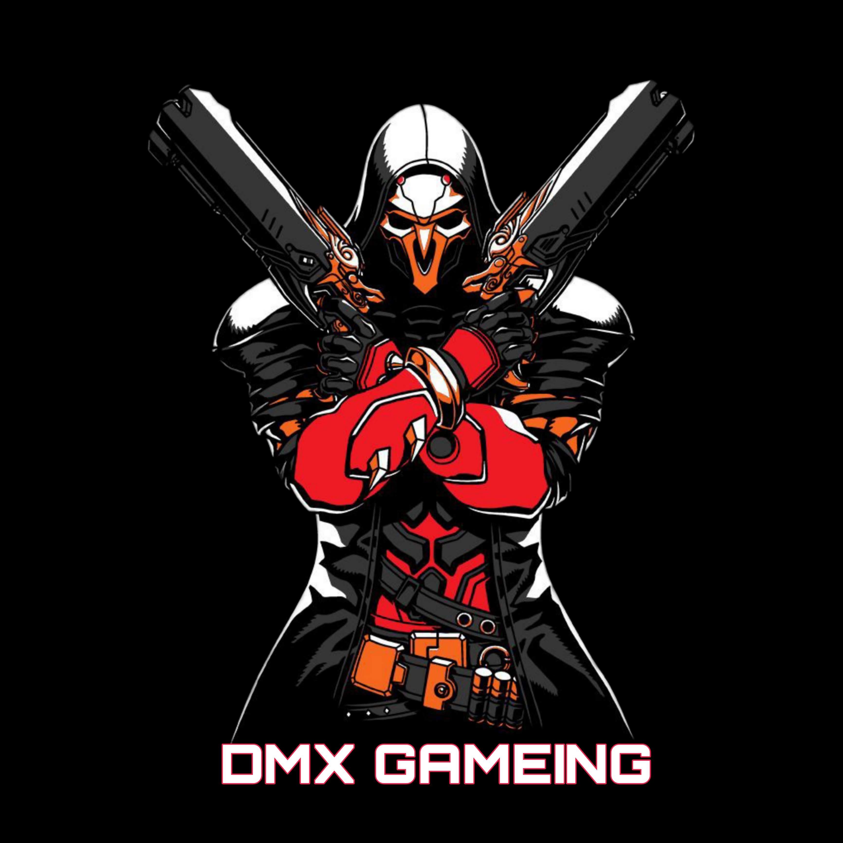 DMX GAMING