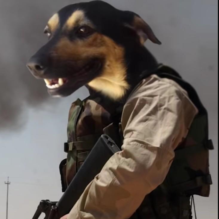 DOG DE GUERRA