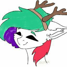 Pony Public