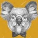 Koala King