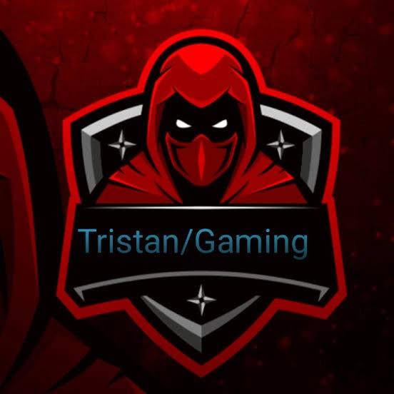 Tristan Gaming