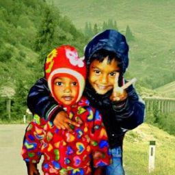 জুলফিকার মিদ্দির