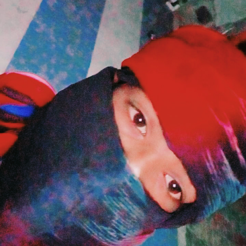 Vikram Thakor Bhamar