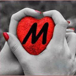 مصطفى الملكي