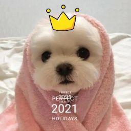 鄭竣禧Zheng Jun Xi