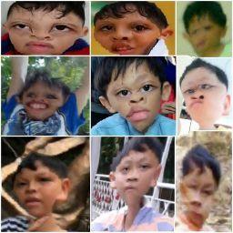 Đức Lê Nguyễn Quang