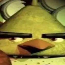 GroxEXE x chica the bird