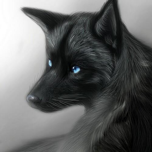 Black Fox
