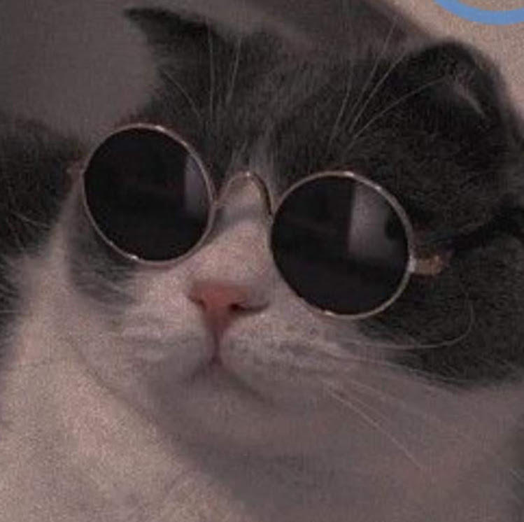 bảo trân phan gia