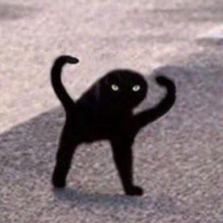 Addia Ahyanibillah Darmawan