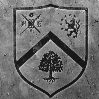 Dany Simoes (AOK_SIMOES)