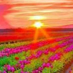 علیرضا بیانفر