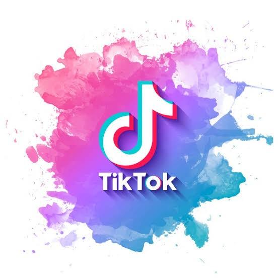 TikTok အမိုက်စားလေးများ