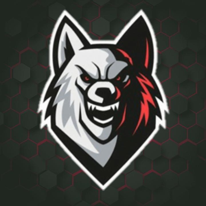 WolfGamer96