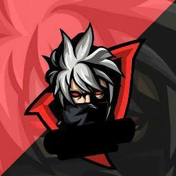 HS GAMER