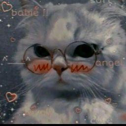 мᴇ✿тʀầɴ✿тнᴀɴн︵²ᵏ⁶