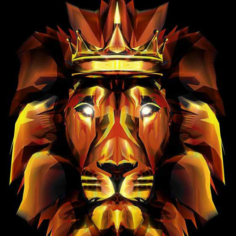 نویان اسلامی