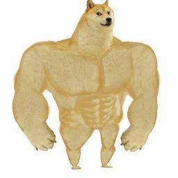 ゴリマッチョ犬