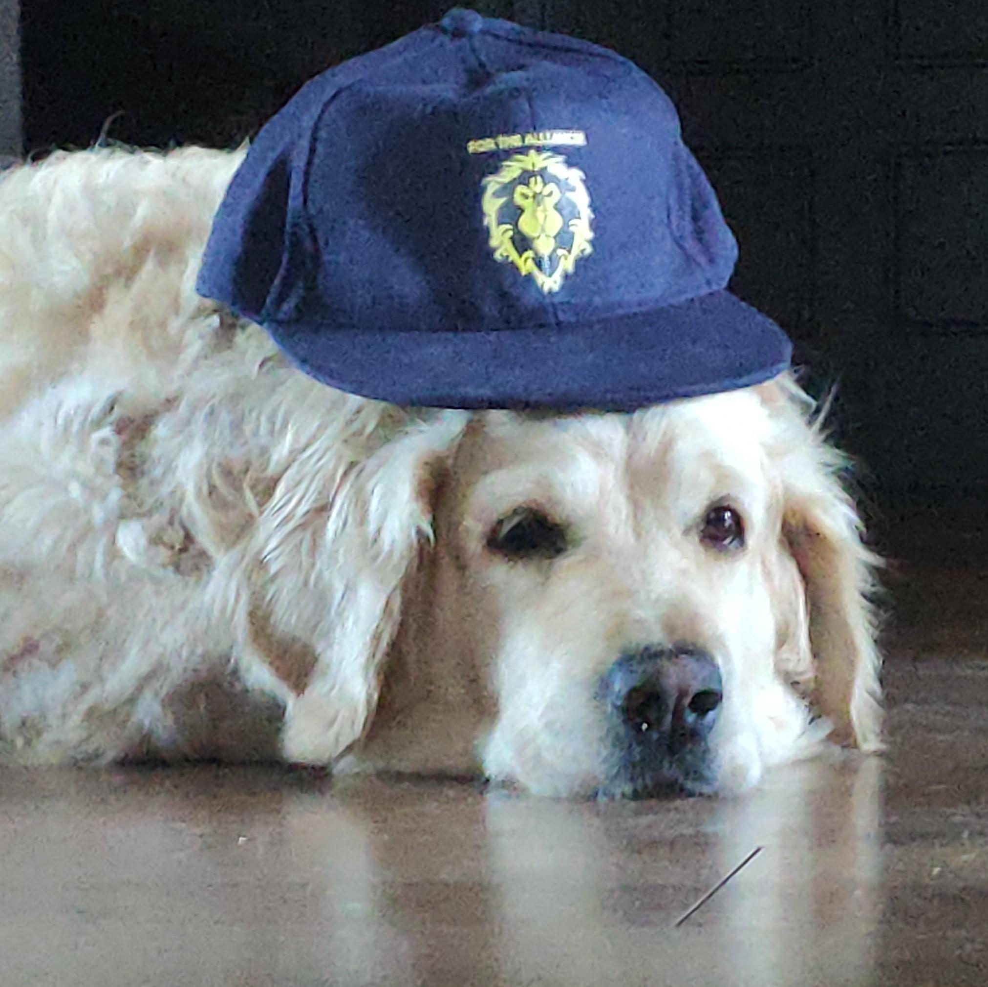 Милен Буздалин