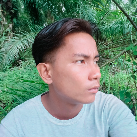 Wahyudi Realme