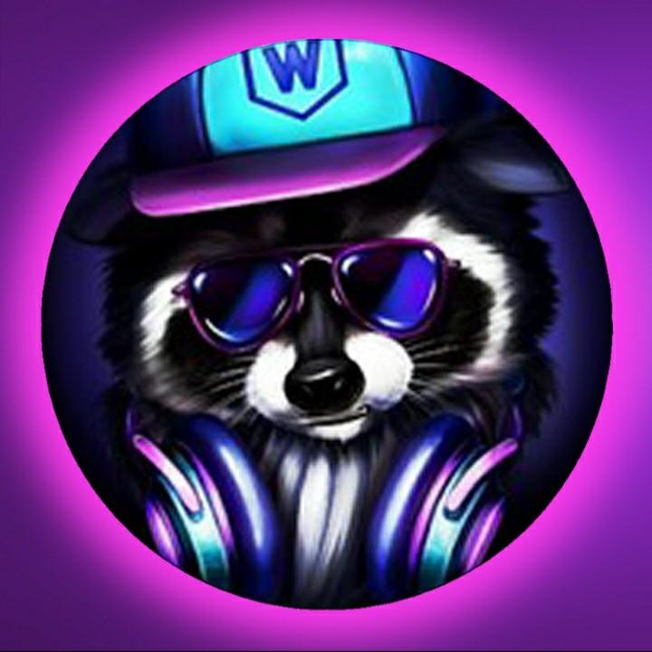 геймерский енот