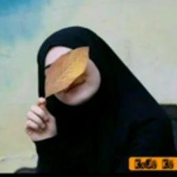 أنوار الزهراء