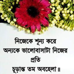 রাতের জোনাকি