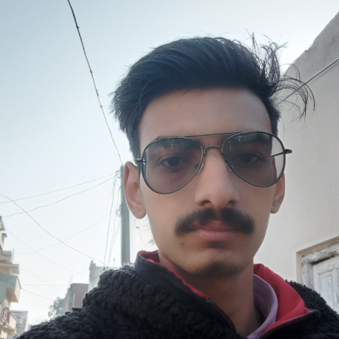 Sanjeev Kumarv