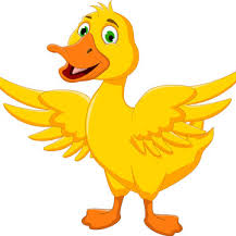 Ducky