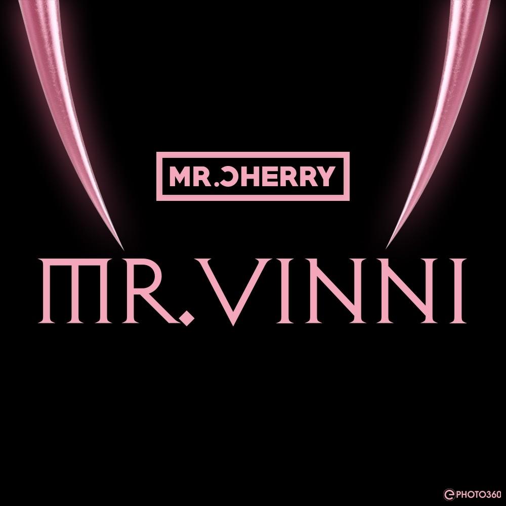 Mr. VINNI