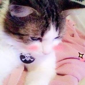 n mrtz