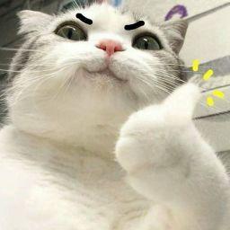 Trần ngọc Bảo long