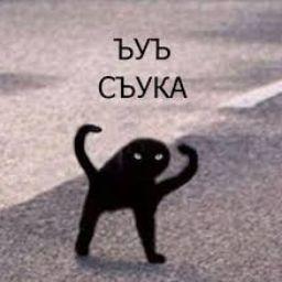 Animeshnik_Y