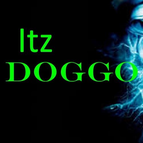 Itz DOGGO