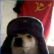 Perro Comunista