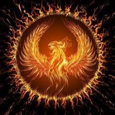 Phoenix