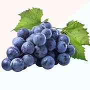 GrapeHub
