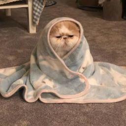 García Rodríguez Ian Eduardo