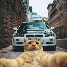 Nicholas Syahrul syah