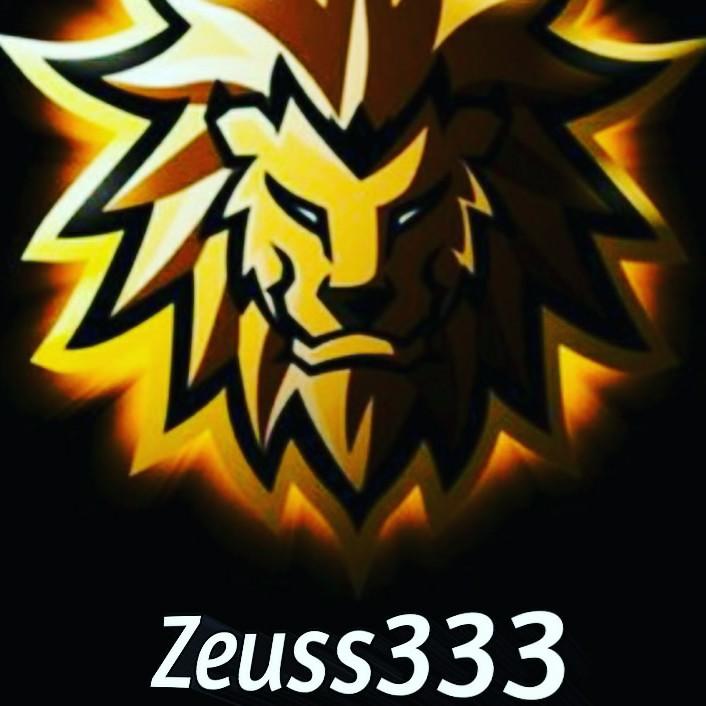 Zeus333