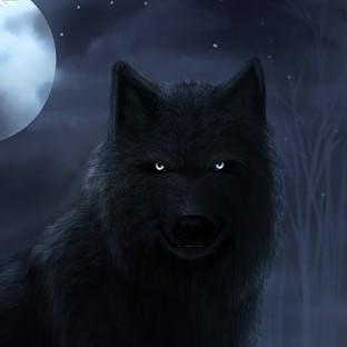 Shadow The Wolf
