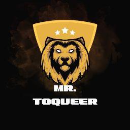 Mr. TOQUEER