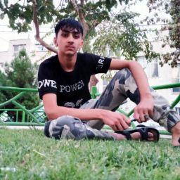 HOJJAT MOALLEMI