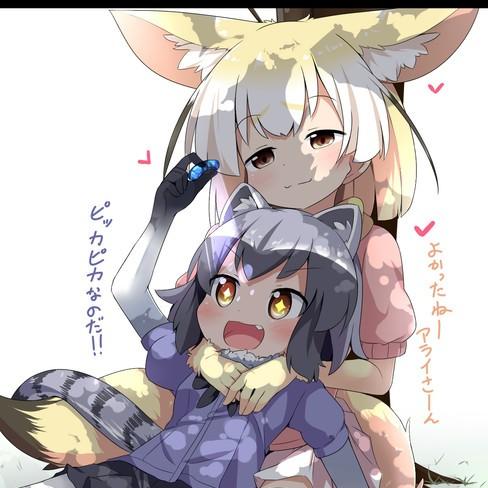 蜜柑組〆みかん